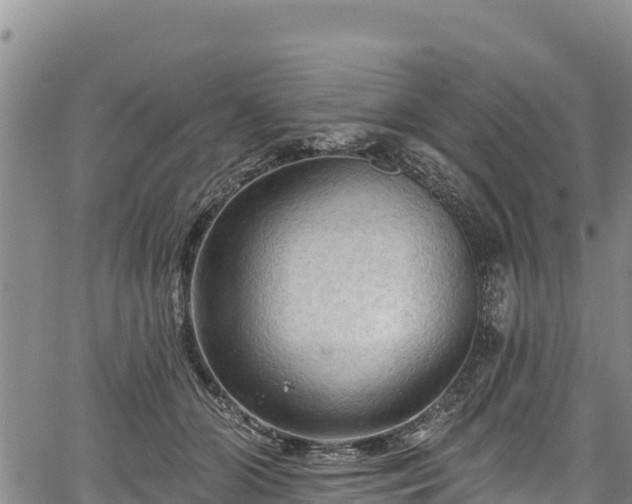 X0000067510510200604101259