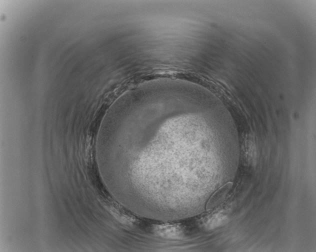 X0000067510511200604101259