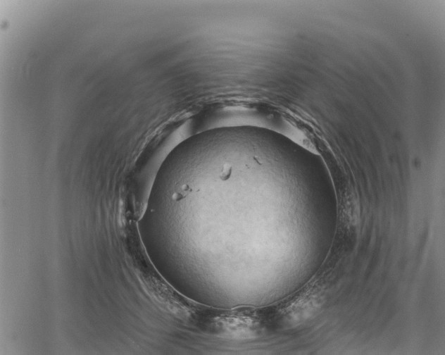 X0000067510512200604101259