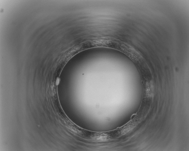 X0000067510514200604101259