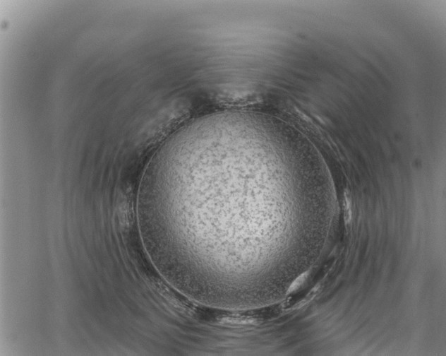 X0000067510515200604101259