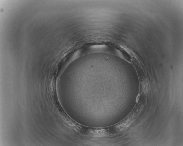 X0000067510517200604101259