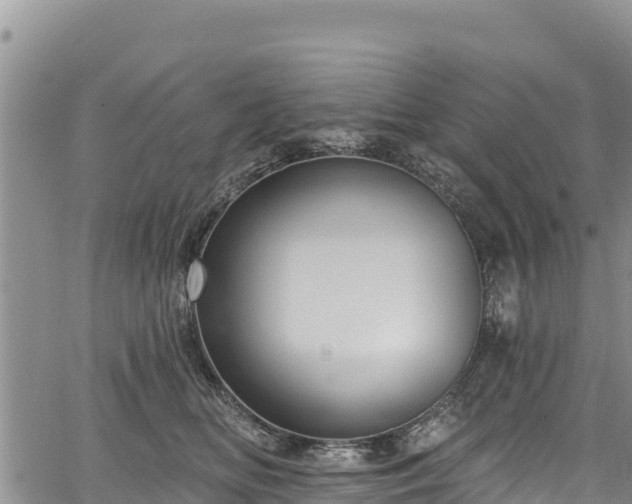 X0000067510518200604101259