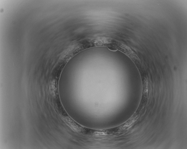 X0000067510519200604101259