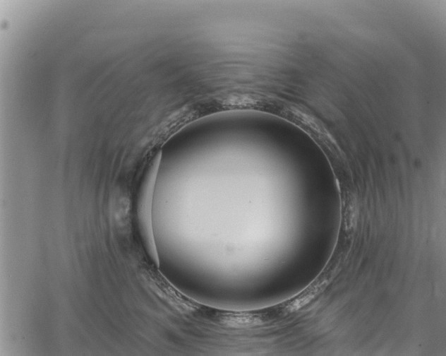 X0000067510521200604101259