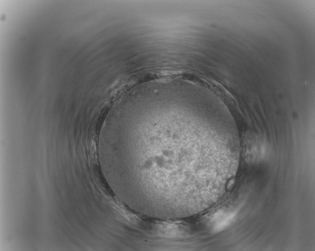 X0000067510523200604101259