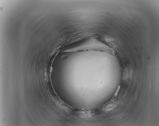 X0000067510524200604101259