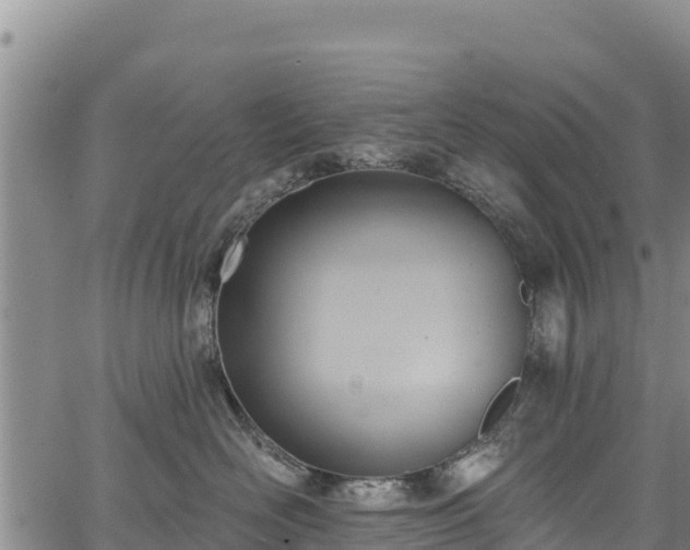 X0000067510526200604101259