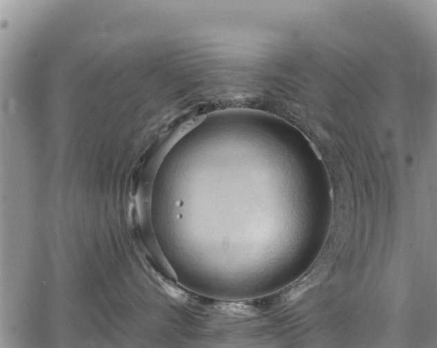 X0000067510528200604101259