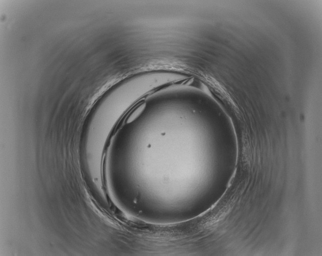 X0000067510530200604101258