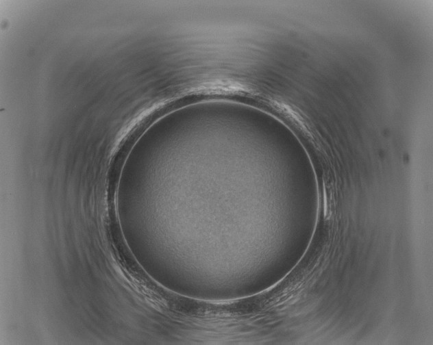 X0000067510531200604101258