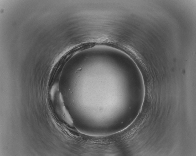 X0000067510532200604101258