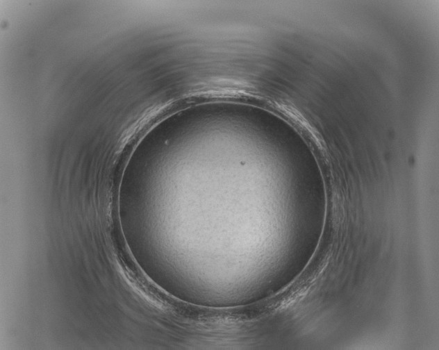 X0000067510533200604101258