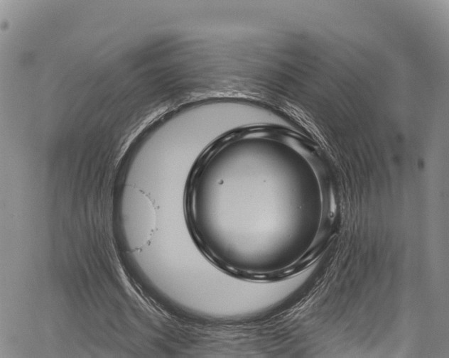 X0000067510534200604101258