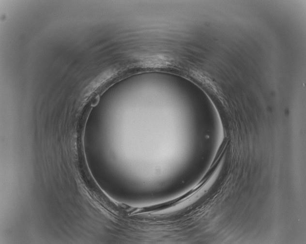 X0000067510535200604101258