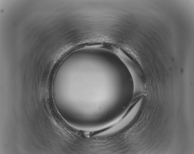 X0000067510536200604101258