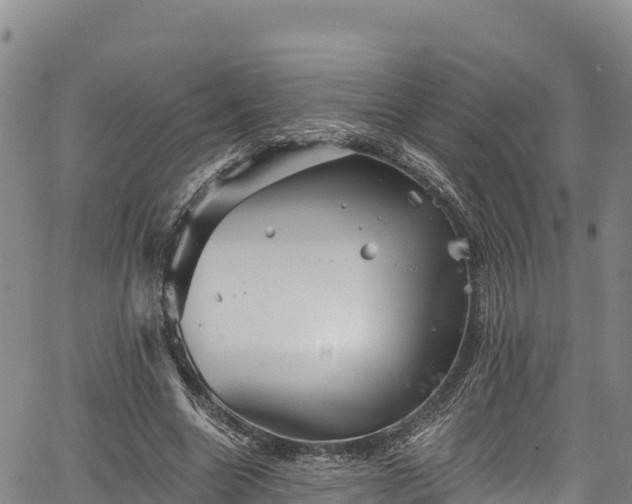 X0000067510538200604101258