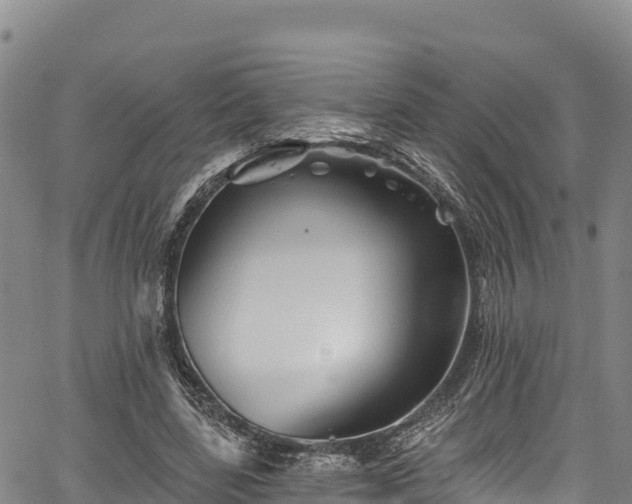 X0000067510539200604101258