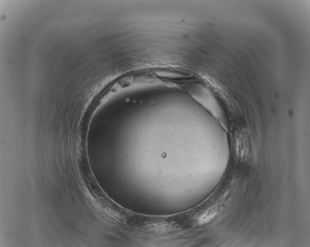 X0000067510540200604101258