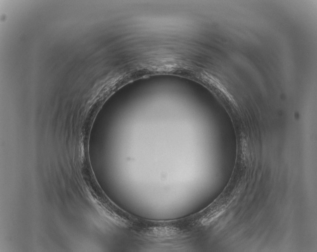 X0000067510541200604101258