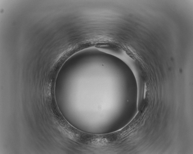 X0000067510543200604101258