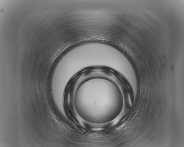 X0000067510544200604101258