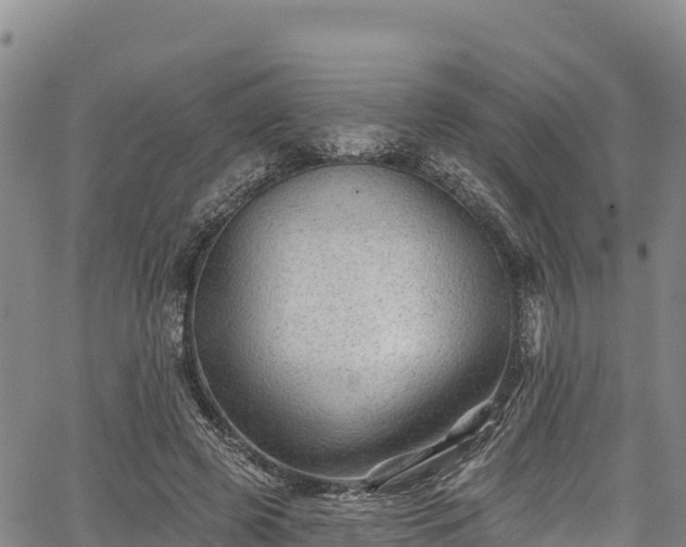 X0000067510545200604101258