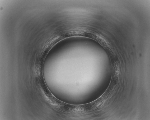 X0000067510546200604101258