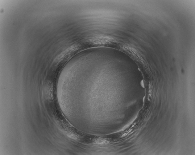 X0000067510547200604101258