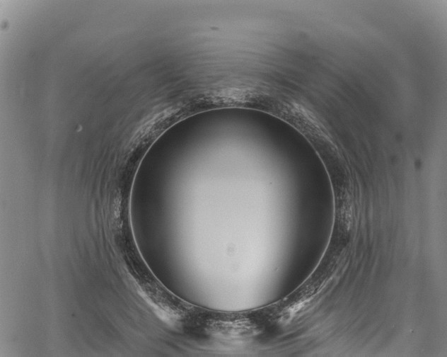 X0000067510548200604101258