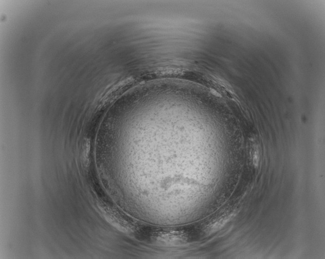 X0000067510550200604101258