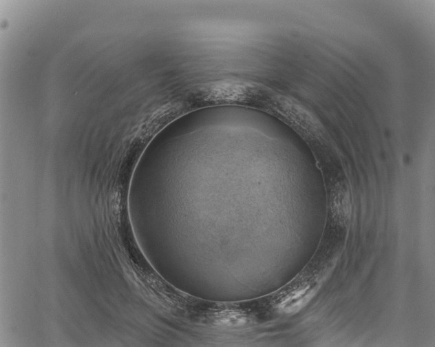 X0000067510551200604101258