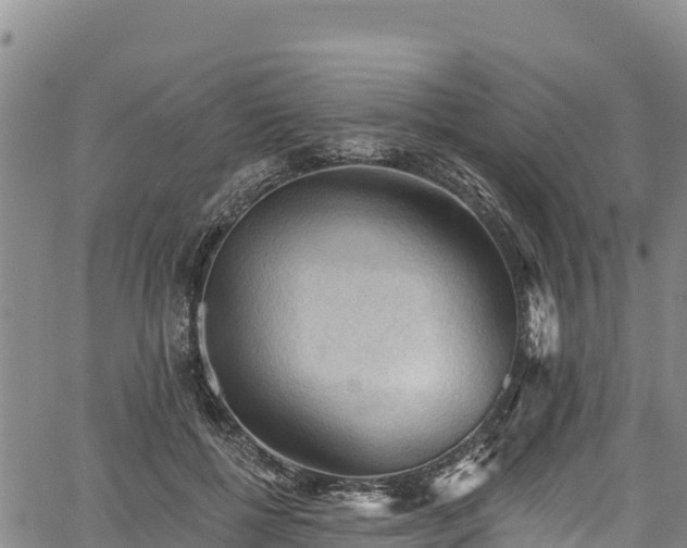 X0000067510552200604101258