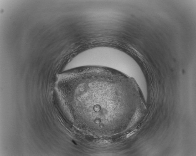 X0000067510553200604101258