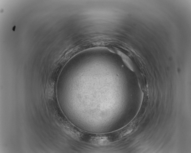 X0000067510554200604101258