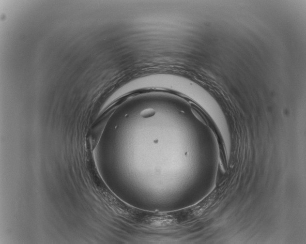 X0000067510555200604101258