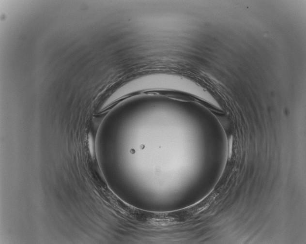 X0000067510556200604101258