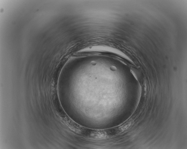 X0000067510559200604101258