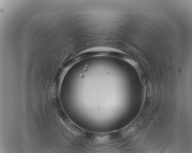 X0000067510560200604101258