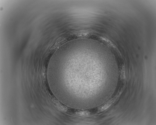 X0000067510561200604101258