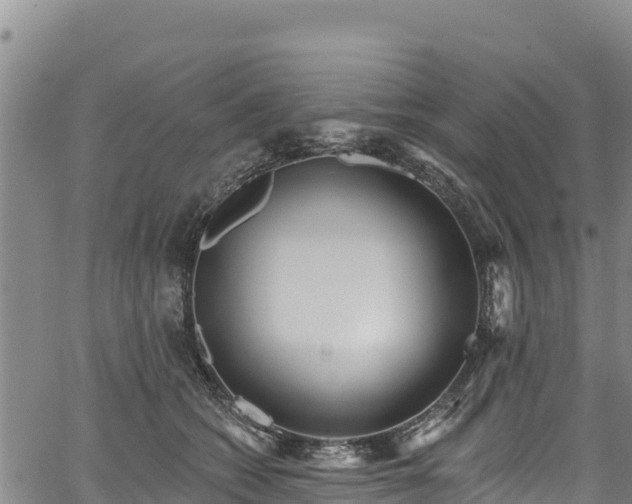 X0000067510562200604101258