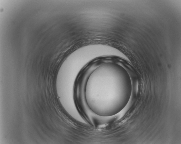 X0000067510566200604101258