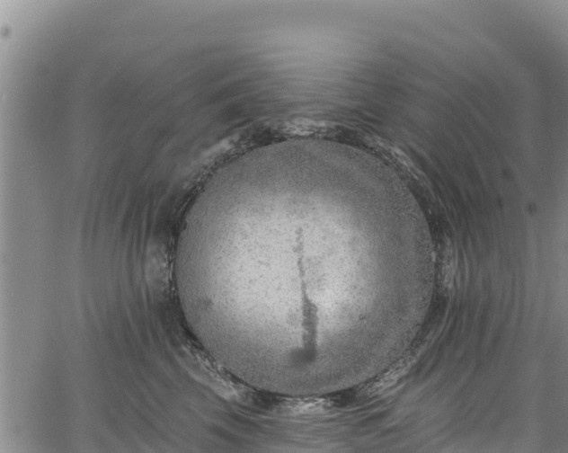 X0000067510569200604101258