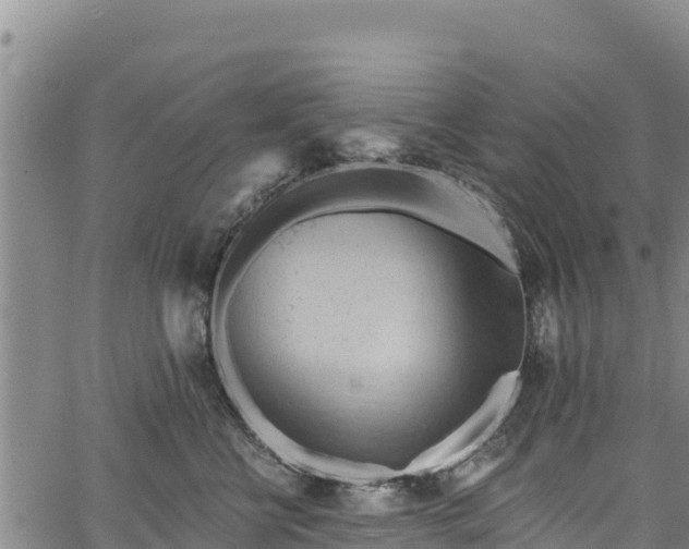 X0000067510570200604101258