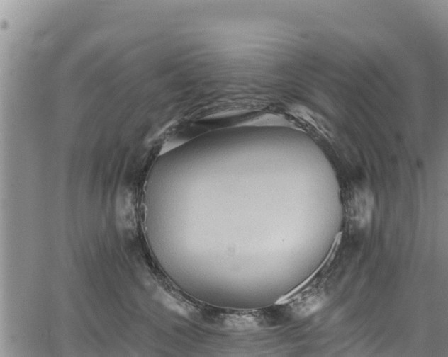 X0000067510572200604101258