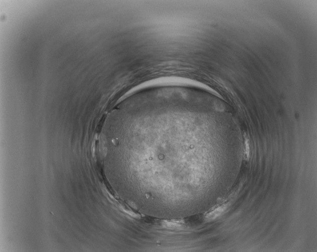 X0000067510573200604101258