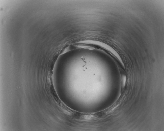 X0000067510575200604101259