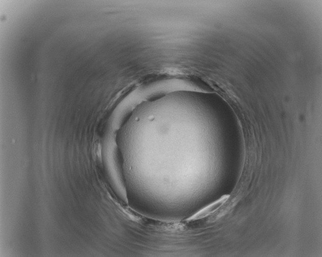 X0000067510576200604101259