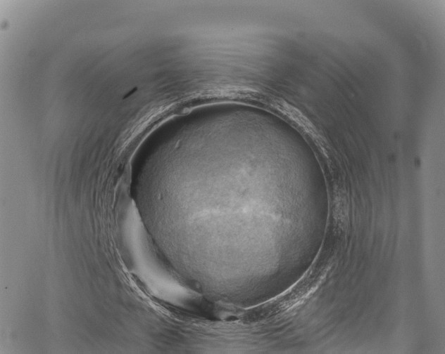 X0000067510577200604101258