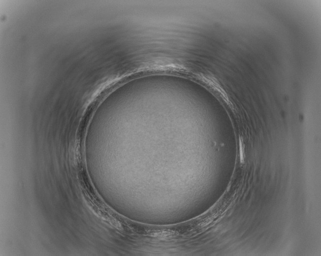 X0000067510579200604101258